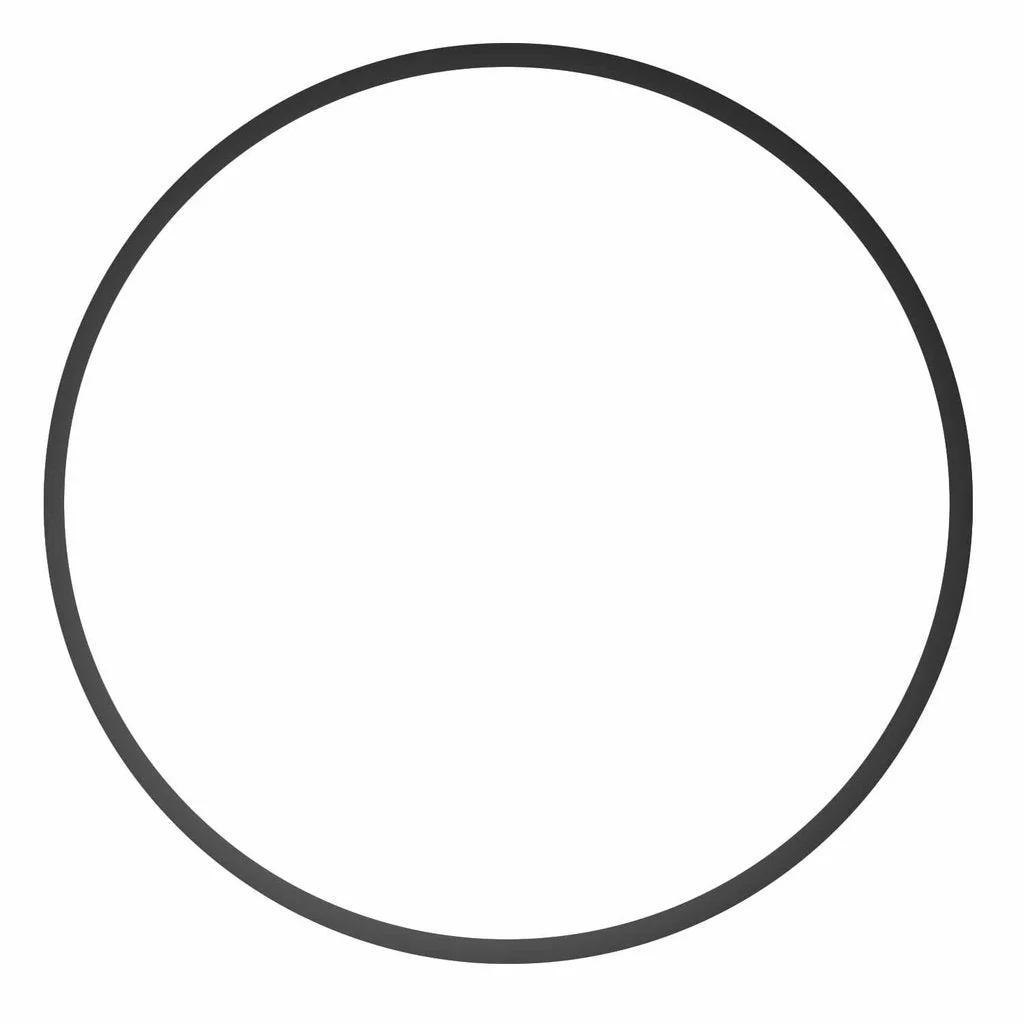Ikelite Underwater Housings O-ring for DSLR & Mirrorless