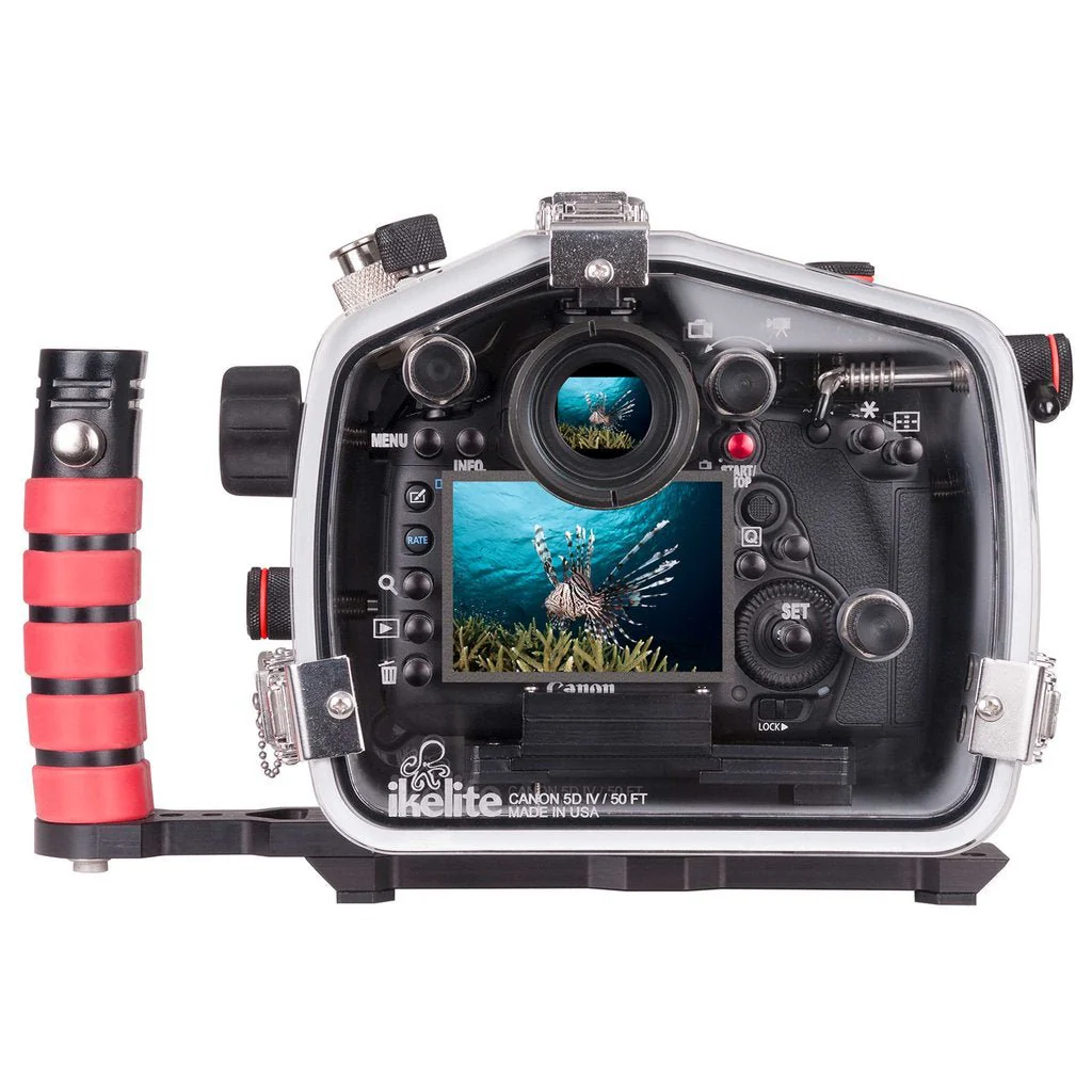 Ikelite Housing 50DL Canon 5D MK III/IV 5DS(R) - Image 3