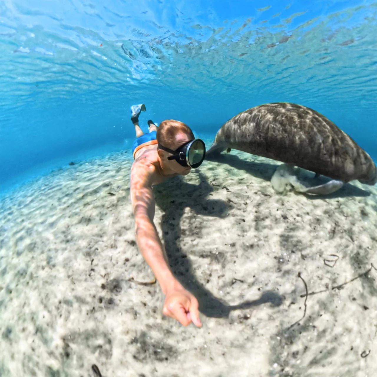 Insta360 Invisible Dive Case for X5 - Image 6